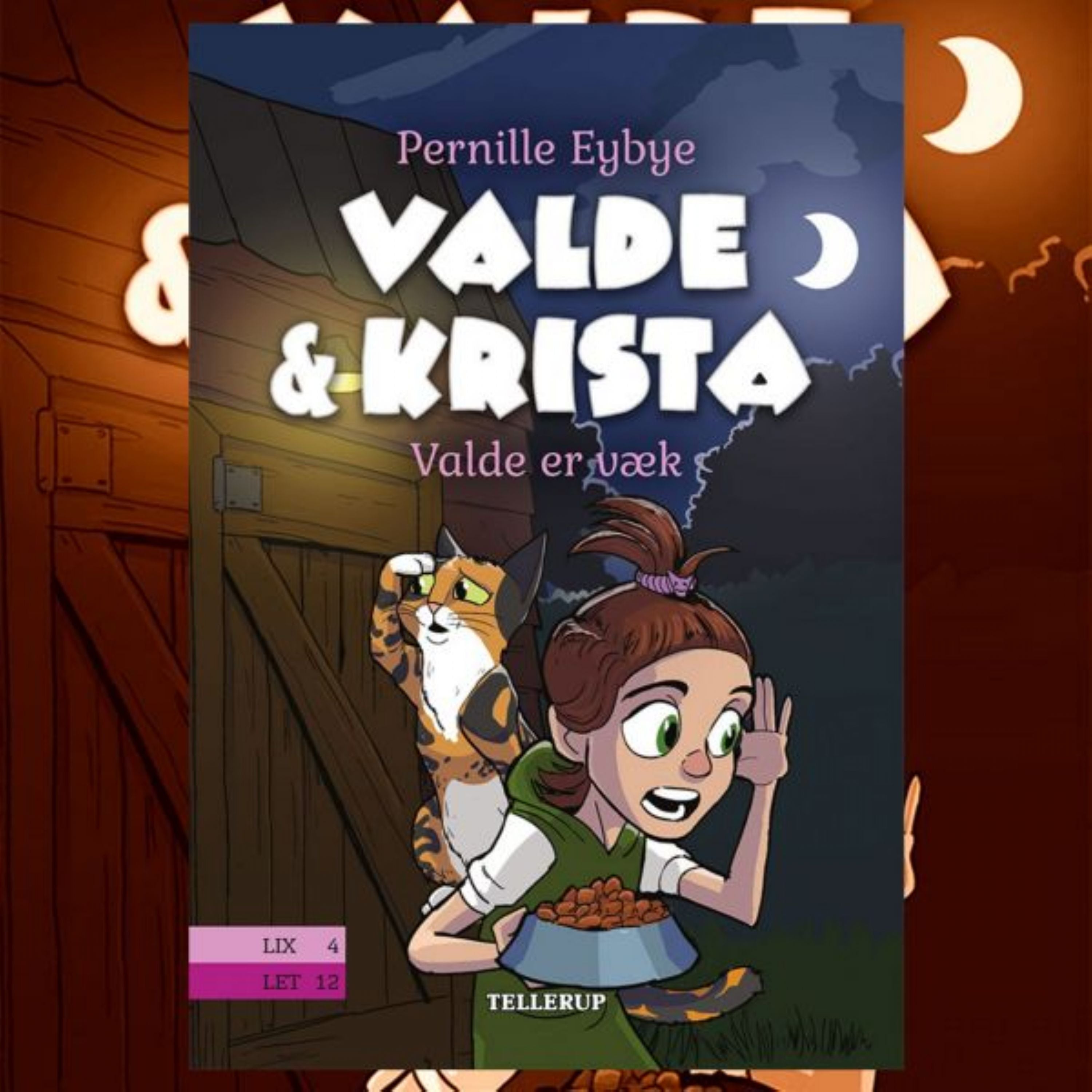 Forside billede
